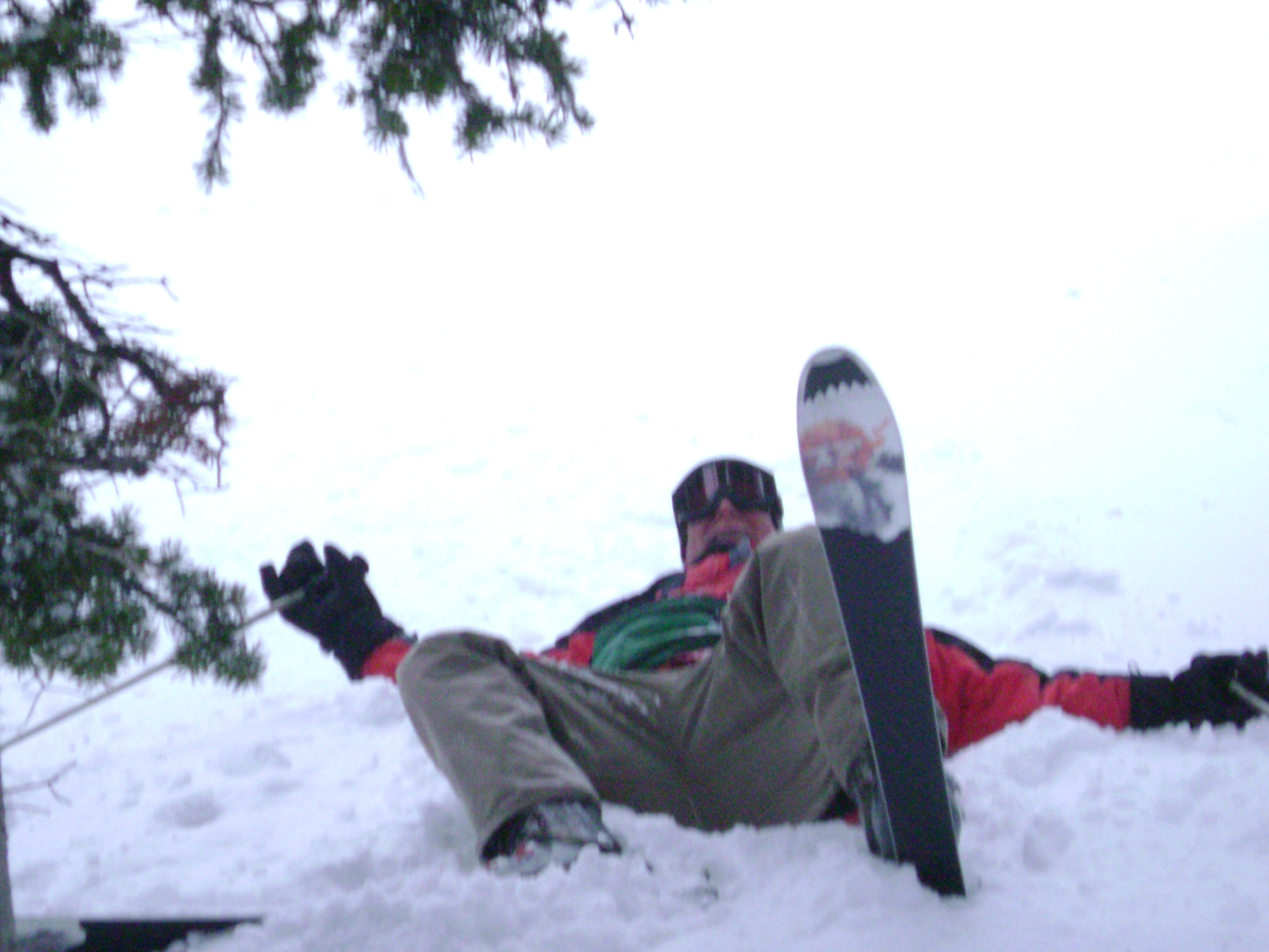 Schweitzer, ID 2025 trip